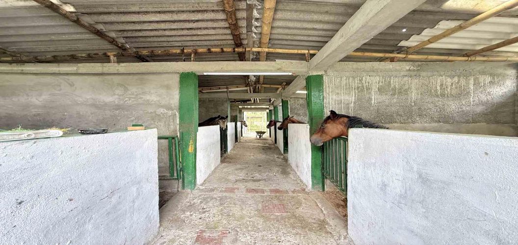 Finca en venta en Agua Azul, Dosquebradas, 550 m² · foto 5 de 24