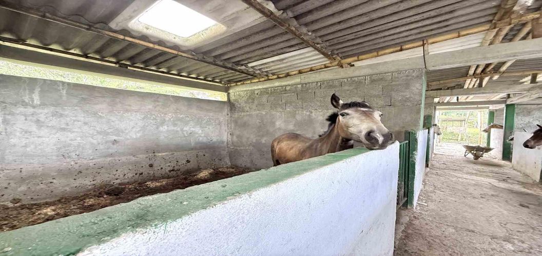 Finca en venta en Agua Azul, Dosquebradas, 550 m² · foto 7 de 24