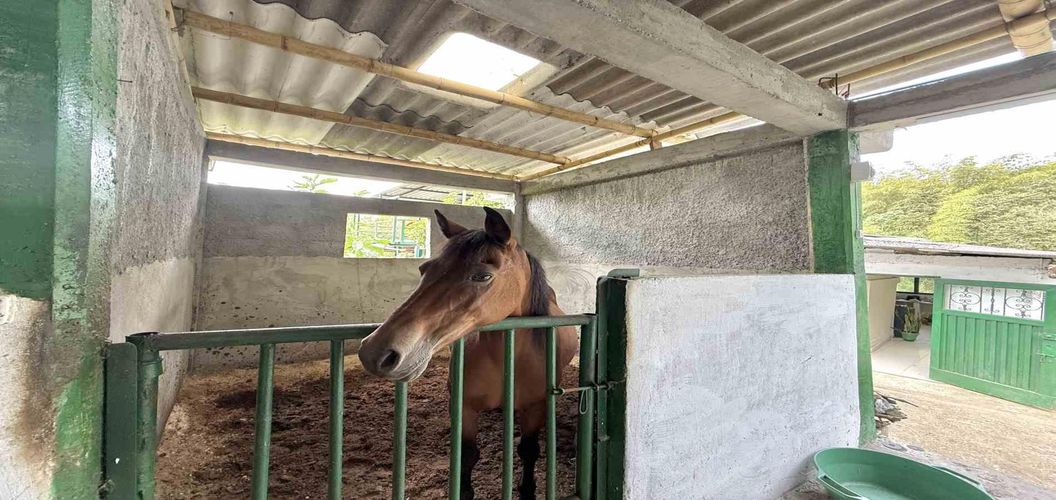 Finca en venta en Agua Azul, Dosquebradas, 550 m² · foto 8 de 24