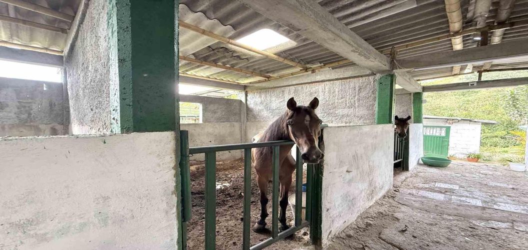 Finca en venta en Agua Azul, Dosquebradas, 550 m² · foto 9 de 24