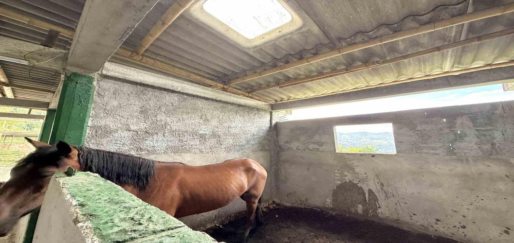 Finca en venta en Agua Azul, Dosquebradas, 550 m² · foto 10 de 24
