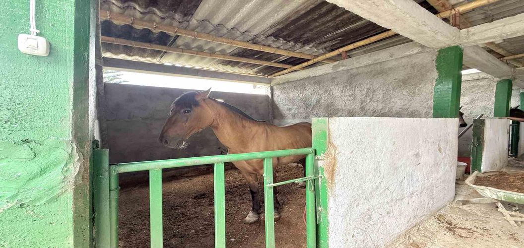Finca en venta en Agua Azul, Dosquebradas, 550 m² · foto 12 de 24