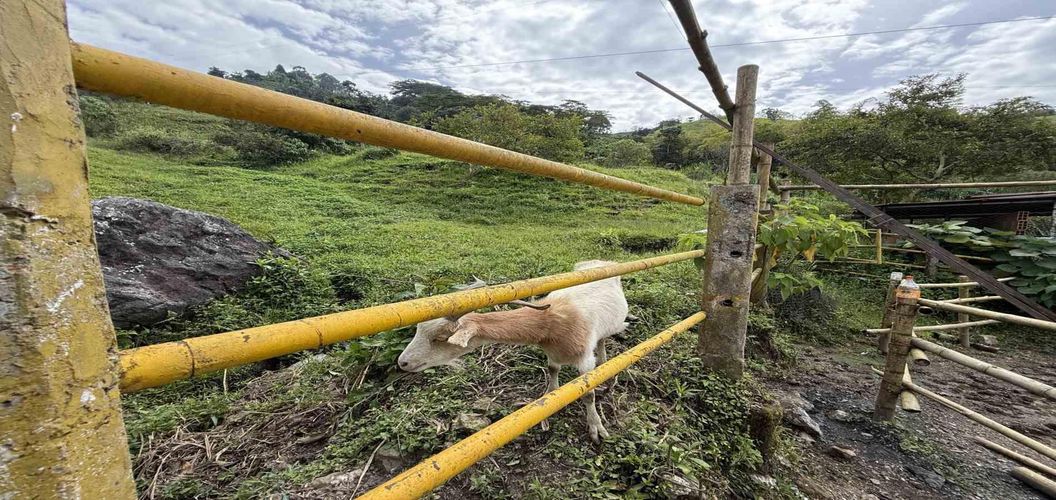 Finca en venta en Agua Azul, Dosquebradas, 550 m² · foto 16 de 24