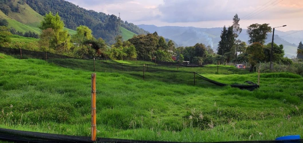 Lote en venta en Malteria, Manizales, 1350 m² · foto 2 de 5