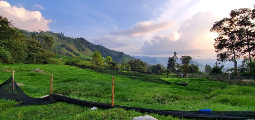 Lote en venta en Malteria, Manizales, 1350 m² · foto 3 de 5