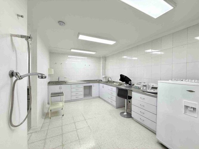 Local en arriendo en Guadalupe, Dosquebradas, 375 m² · foto 2 de 23