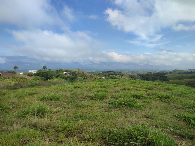 Lote en venta en Cerritos, Pereira · foto 2 de 19