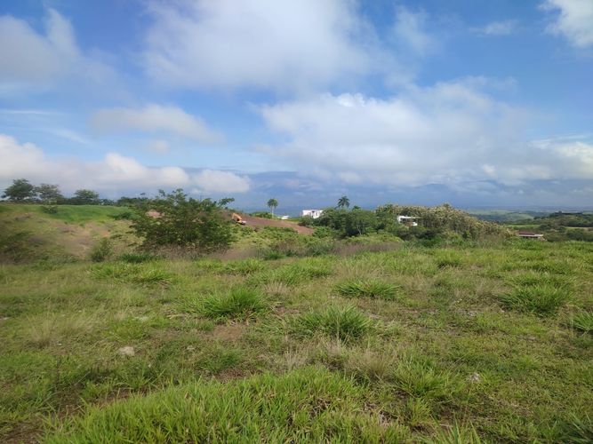 Lote en venta en Cerritos, Pereira · foto 3 de 19