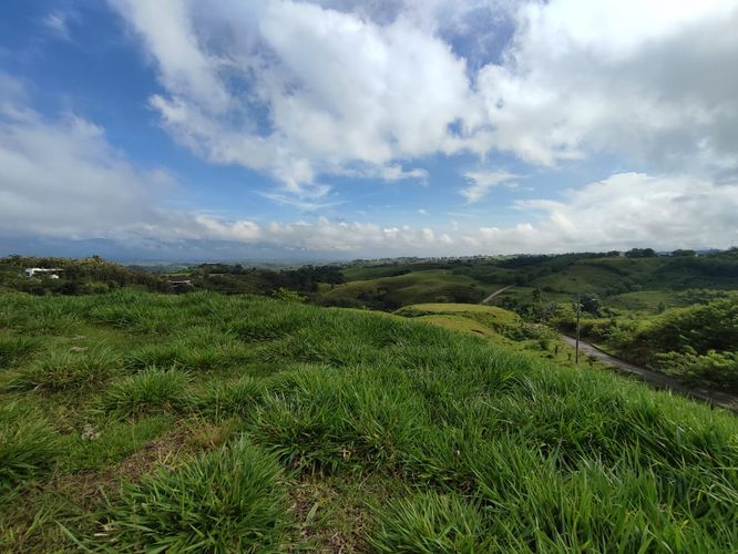 Lote en venta en Cerritos, Pereira · foto 4 de 19