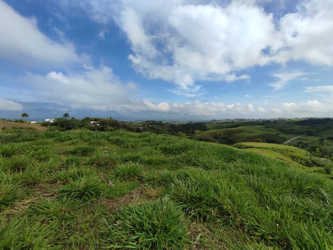 Lote en venta en Cerritos, Pereira · foto 5 de 19