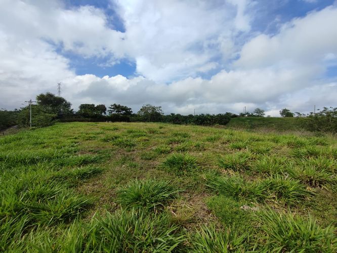 Lote en venta en Cerritos, Pereira · foto 6 de 19