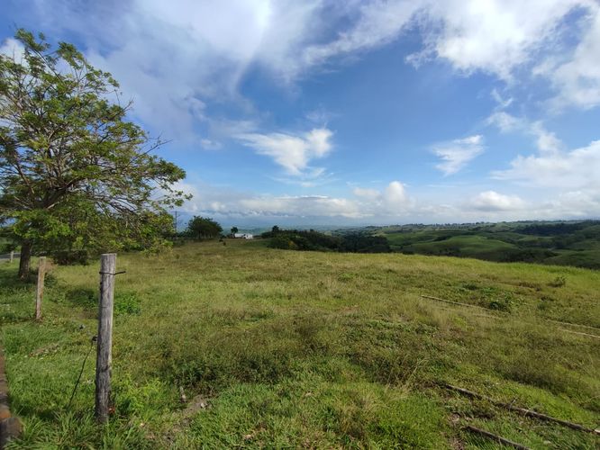 Lote en venta en Cerritos, Pereira · foto 7 de 19