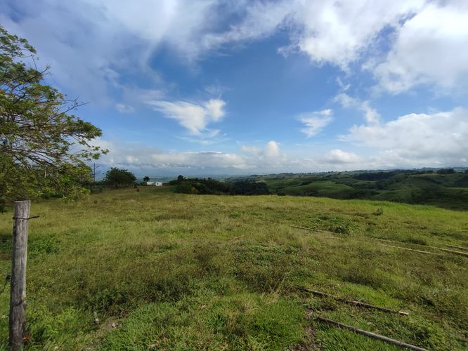 Lote en venta en Cerritos, Pereira · foto 8 de 19