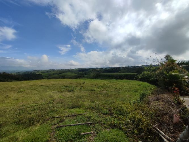 Lote en venta en Cerritos, Pereira · foto 10 de 19