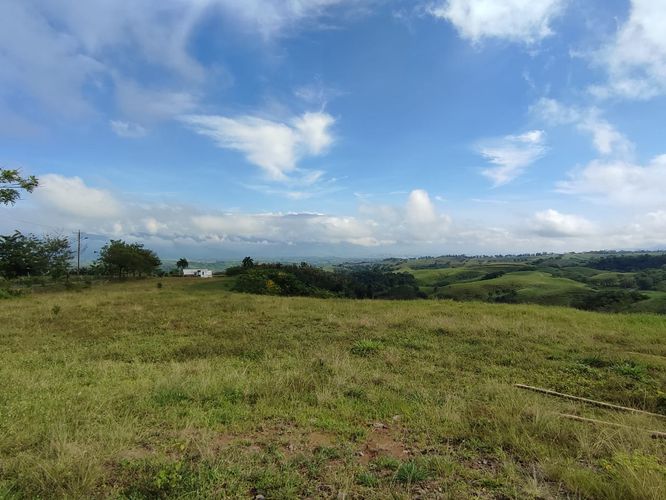 Lote en venta en Cerritos, Pereira · foto 12 de 19