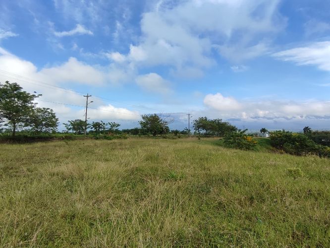 Lote en venta en Cerritos, Pereira · foto 13 de 19