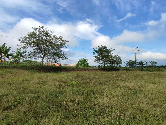 Lote en venta en Cerritos, Pereira · foto 15 de 19