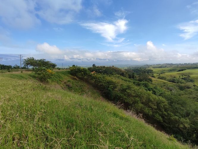 Lote en venta en Cerritos, Pereira · foto 18 de 19
