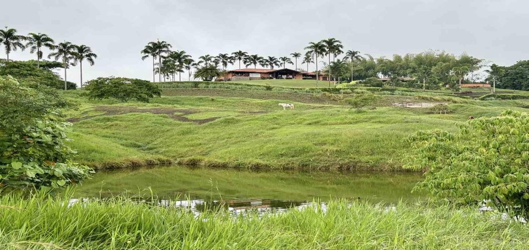 Lote en venta en Cerritos, Pereira · foto 2 de 12