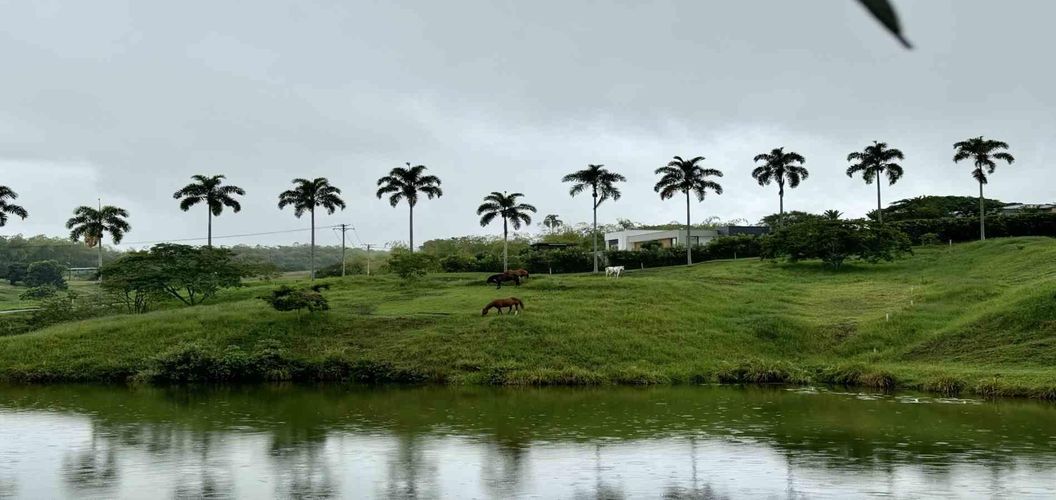 Lote en venta en Cerritos, Pereira · foto 5 de 12