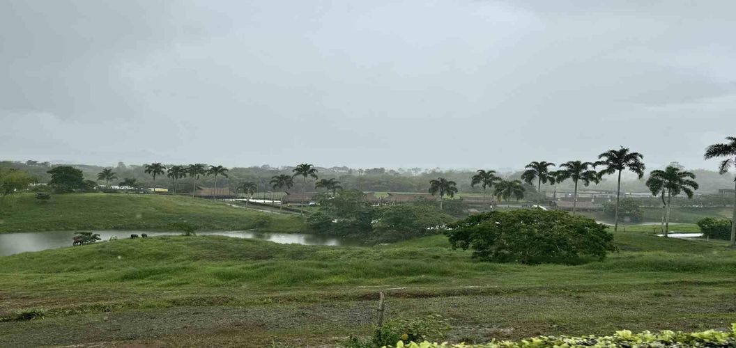 Lote en venta en Cerritos, Pereira · foto 7 de 12