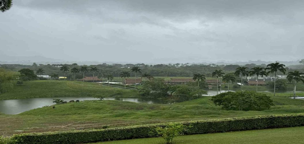 Lote en venta en Cerritos, Pereira · foto 8 de 12