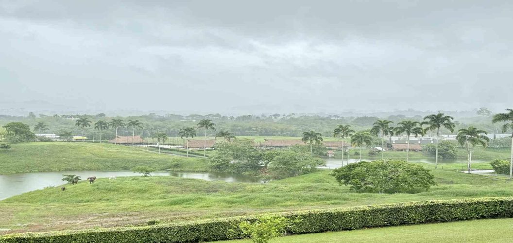 Lote en venta en Cerritos, Pereira · foto 9 de 12