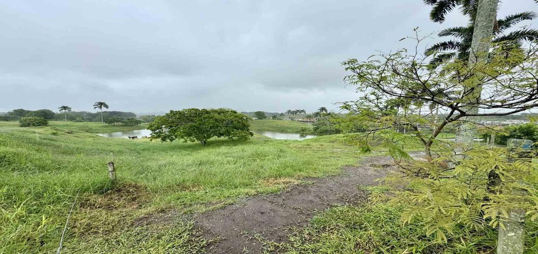 Lote en venta en Cerritos, Pereira · foto 10 de 12