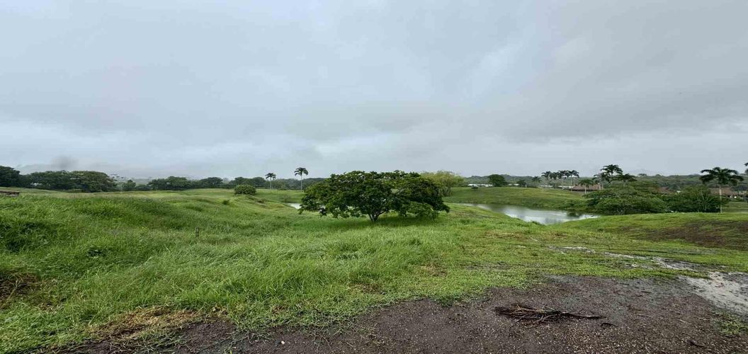 Lote en venta en Cerritos, Pereira · foto 11 de 12
