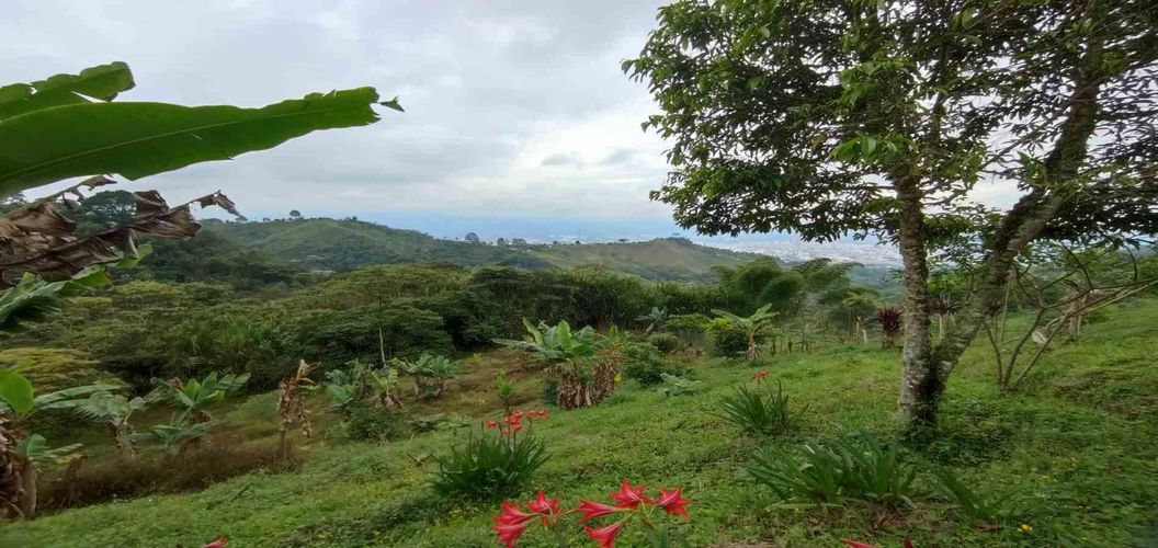 Finca en venta en La Argentina, Dosquebradas, 175 m² · foto 20 de 24