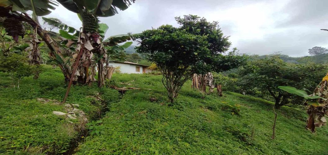 Finca en venta en La Argentina, Dosquebradas, 175 m² · foto 24 de 24