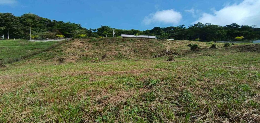 Lote en venta en La Trinidad, Manizales, 2665 m² · foto 2 de 24