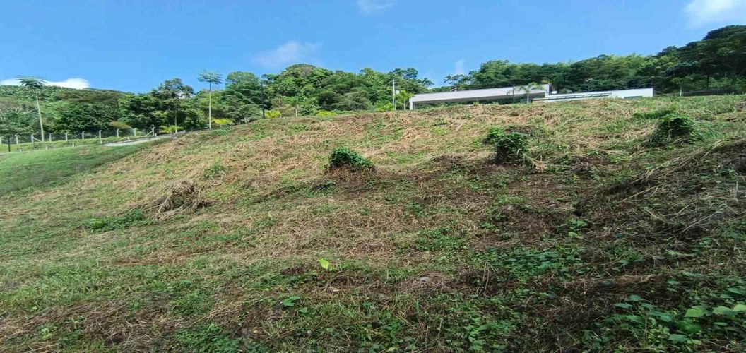 Lote en venta en La Trinidad, Manizales, 2665 m² · foto 7 de 24