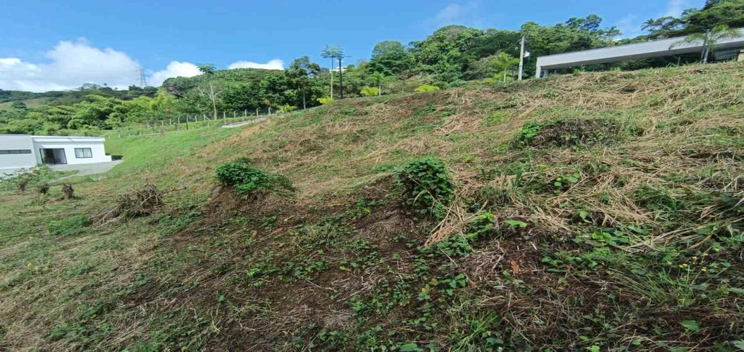 Lote en venta en La Trinidad, Manizales, 2665 m² · foto 18 de 24
