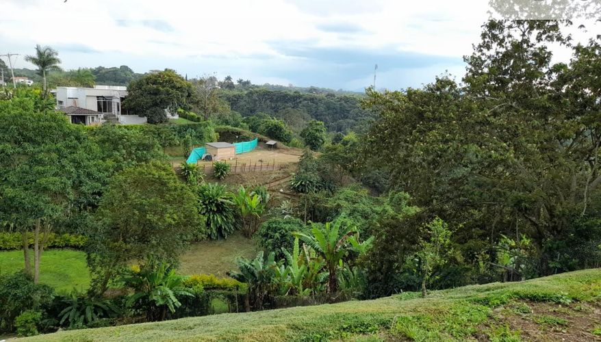 Lote en venta en Morelia, Pereira · foto 7 de 13