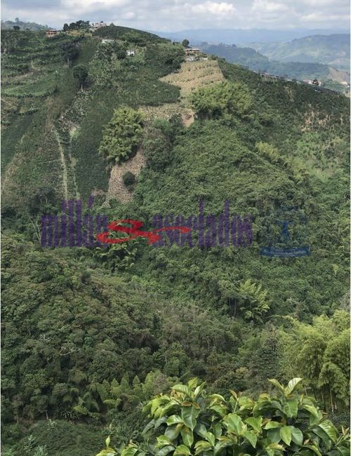 Lote en venta en Bajo Tablazo, Manizales, 211 m² · foto 2 de 7
