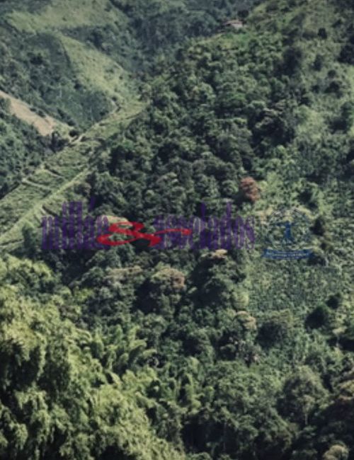 Lote en venta en Bajo Tablazo, Manizales, 211 m² · foto 3 de 7