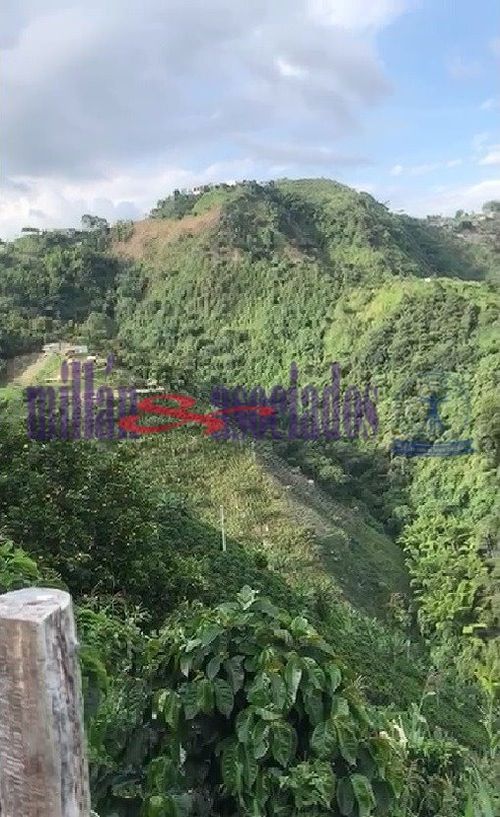 Lote en venta en Bajo Tablazo, Manizales, 211 m² · foto 4 de 7
