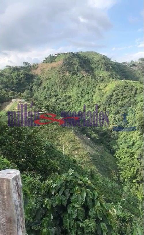 Lote en venta en Bajo Tablazo, Manizales, 211 m² · foto 5 de 7
