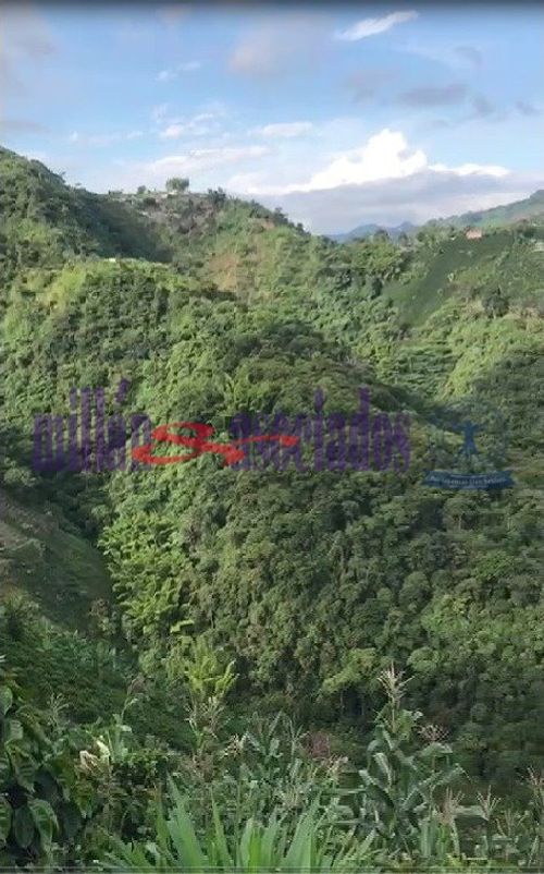 Lote en venta en Bajo Tablazo, Manizales, 211 m² · foto 6 de 7