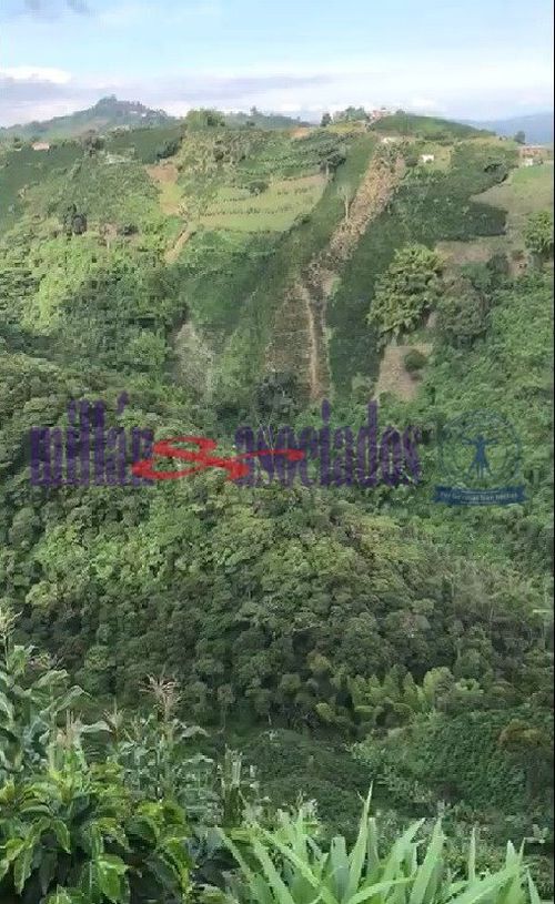 Lote en venta en Bajo Tablazo, Manizales, 211 m² · foto 7 de 7