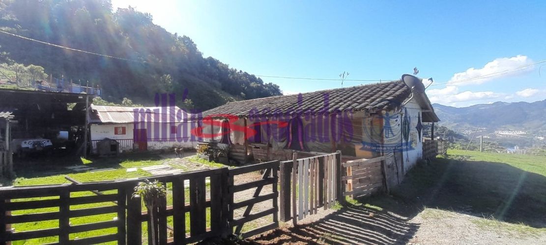 Lote en venta en Cerro De Oro, Manizales, 60 m² · foto 9 de 17