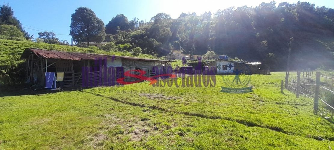Lote en venta en Cerro De Oro, Manizales, 60 m² · foto 6 de 17