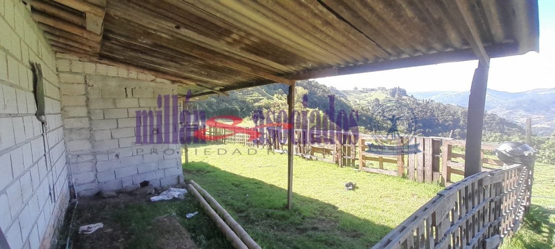 Lote en venta en Cerro De Oro, Manizales, 60 m² · foto 5 de 17