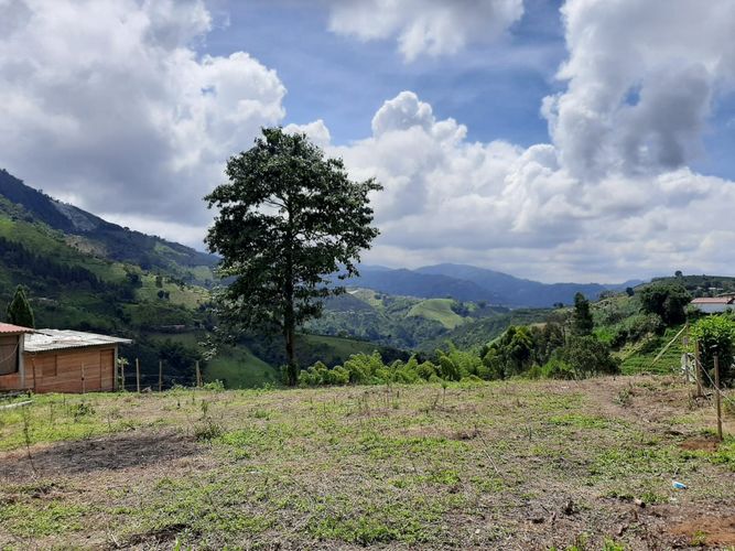 Lote en venta en Bajo Tablazo, Manizales, 5240 m² · foto 2 de 8