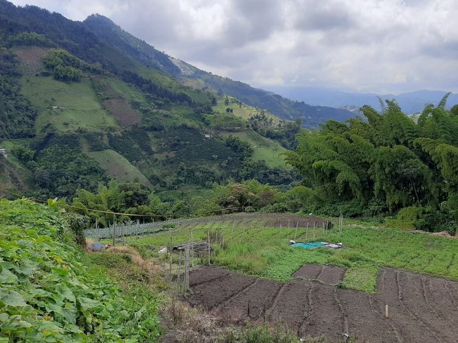 Lote en venta en Bajo Tablazo, Manizales, 5240 m² · foto 3 de 8