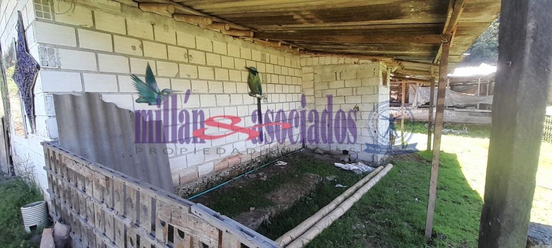 Lote en venta en Cerro De Oro, Manizales, 60 m² · foto 2 de 17