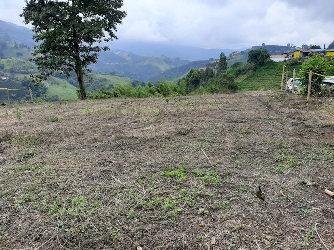 Lote en venta en Bajo Tablazo, Manizales, 5240 m² · foto 4 de 8