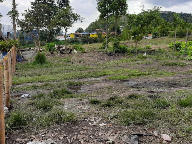 Lote en venta en Bajo Tablazo, Manizales, 5240 m² · foto 5 de 8