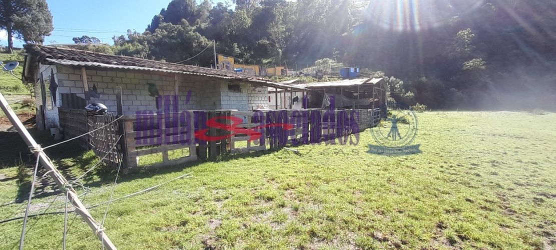 Lote en venta en Cerro De Oro, Manizales, 60 m² · foto 12 de 17